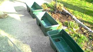 Gardening Setting up Grow Boxes [upl. by Woodson]