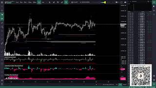 Bitcoin Live TradingLite [upl. by Annaiek]