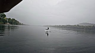 The River Chunks Are Coming Out To Feast Susquehanna River Fall Fishing [upl. by Vasili791]