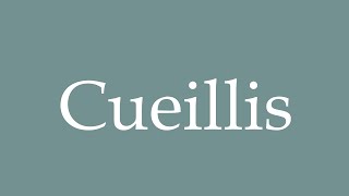 How to Pronounce Cueillis Picked Correctly in French [upl. by Nelia]