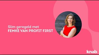 Zzp tip  Zo bereken je inkomstenbelasting  Femke Hogema van Profit First [upl. by Strain]