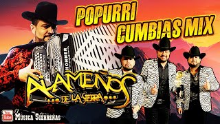 Popurri Los Alameños  Las Mas Chingonas PaBailar MIX  Corridos y Cumbias Sierreñas [upl. by Wheaton]