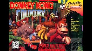 Donkey kong cowntry gameplay [upl. by Kcirdehs128]