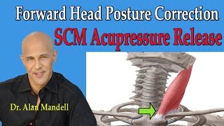 Forward Head Posture Correction SCM Acupressure Release  Dr Mandell [upl. by Miguelita960]