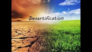 Desertification Causes Impacts amp Safety measures [upl. by Skoorb]