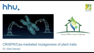 On the UKPlantSciPresents webinar Goetz Hensel discusses his reseach on gene editing in crops [upl. by Main]