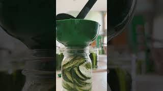 SUPER EASY Homemade Dill Pickles Summer Canning canning pickles gardening [upl. by Tannen962]