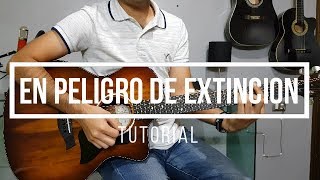 TUTORIAL  En peligro de extincion  Banda La Adictiva [upl. by Winny993]