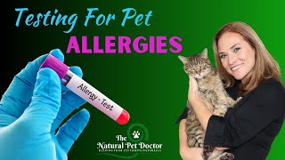 Cat and Dog Allergy Testing  Blood vs Skin vs Food [upl. by Derfnam563]