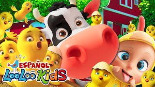 🐤Los Pollitos Dicen Pio Pio Canciones Infantiles Para Niños LooLoo KIDS español Videos para Bebés [upl. by Lindsley804]