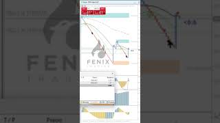 BOOM 1000  INDICES SINTETICOS  SOLO VELAS TREND [upl. by Rivi]