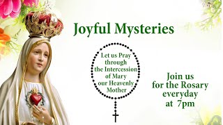 Rosary  Joyful Mysteries  Prayer  Mother Mary 16 November 2024 [upl. by Osnerol]