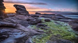 Sample 4k UHD Ultra HD Nature Footage  Vancouver Island 4K [upl. by Kilan598]