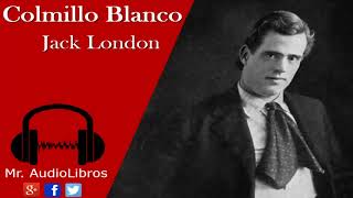 Resumen  Colmillo Blanco  Jack London  audiolibro en español [upl. by Noit]