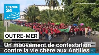 Un mouvement de contestation contre la vie chère aux Antilles • FRANCE 24 [upl. by Lisab]