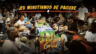 20 MINUTINHOS DE PAGODE ORIGINAL SEM AGROTÓXICOS 🤪😜 [upl. by Debera593]