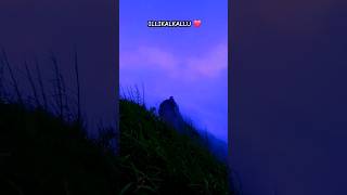 ILLIKALKALLU  Night View  Misty [upl. by Odlaw]