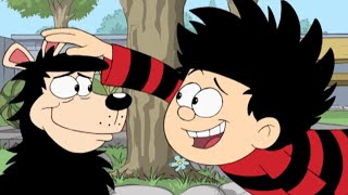 Good Boy Gnasher  Funny Episodes  Dennis and Gnasher [upl. by Mishaan]