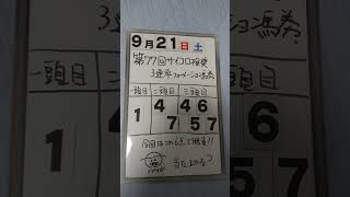 第77回サイコロ推奨3連単フォーメーション馬券🐴🎫買い方発表します「9月21日土曜日サイコロ馬券士信長」 [upl. by Evatsug]