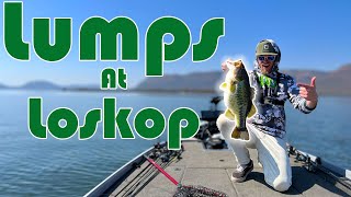 Fishing Loskop Dam For Record Breaking Big Bass South Africa [upl. by Asseneg611]