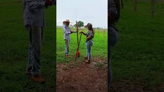 Creusa ficou braba vidanaroça roca nature coisasderoca sitiodozero humor coisasdositio [upl. by Harper]