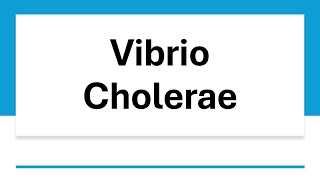 Vibrio Cholerae [upl. by Peer]