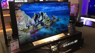 TV Sony Bravia  OLED 65  Ultra HD 4K 💥  2021 [upl. by Olfe504]