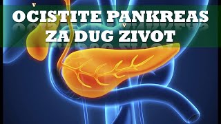 MOĆNE BILJKE OBNAVLJAJU GUŠTERAČU I JETRU  LIJEČE DIJABETES I PANKREATITIS Dr Mihajlović [upl. by Eriha292]