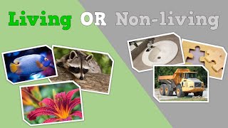 LIVING OR NONLIVING a science song for kids [upl. by Gasparo]