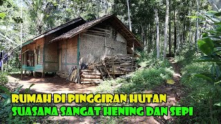 Nestapa Mereka Yang Tinggal Di Pinggiran Hutan Ekonomi Pahit Kehidupanpun Sulit [upl. by Enitsyrk1]