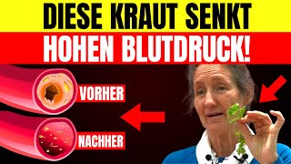 3 Wunderkräuter zur Senkung des Blutdrucks amp Arterienreinigung – Barbara ONeills Geheimnisse [upl. by Deutsch]