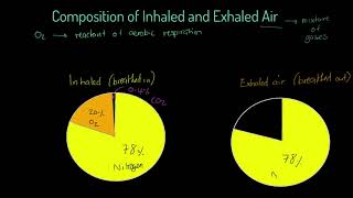 Edexcel GCSE PE  Composition of Inhaled and Exhaled Air [upl. by Noreen]