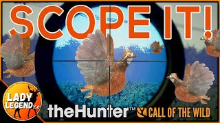 BRILLIANT WAY to Hunt BOBWHITE QUAIL  Hitting the Hotspots of Mississippi Call of the Wild [upl. by Kcuhc]