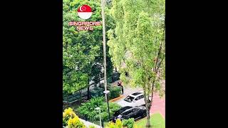 Foodpanda rider vs condo security guard fighting at Bukit Timah condo in Singapore [upl. by Rickie]