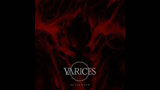 Varices  Aftermath Melodic Death Metal [upl. by Haem]