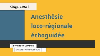 Stage Anesthésie locorégionale échoguidée [upl. by Neztnaj227]