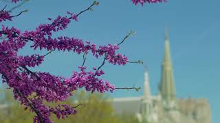 Creighton University Campus Walk – Spring 2019 [upl. by Ranjiv]