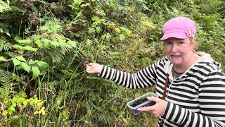 Famous Dambusters Dam and Blackberry picking [upl. by Aronos804]