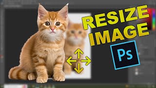 How to Resize Images in Photoshop Without Loosing the Quality 2024 [upl. by Uuge]