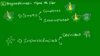 Tipos de flor  Botânica  Biologia [upl. by Eiliak]