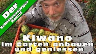 Kiwano im Garten anbauen und geniessen [upl. by Amairam622]