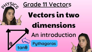 Grade 11 vector in two dimensions physics LEVEL EASY [upl. by Ferwerda272]