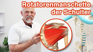 Die Rotatorenmanschette der Schulter ➡️ Anatomie Aufgaben und Probleme [upl. by Drusilla]