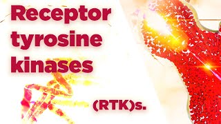 Receptor tyrosine kinases  RTKs  Cell Signaling [upl. by Idorb]