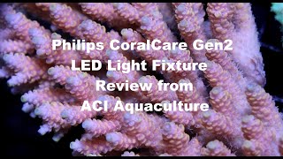 Philips CoralCare Gen2 LED Fixture Review from a Coral Farmers perspective Feat ACI Aquaculture [upl. by Melquist]