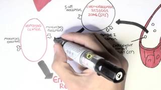 Physiology of Vomiting [upl. by Ramgad]