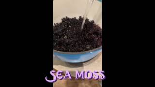 BOTTLED BOTANICALS VYBRAINIYUM WILDCRAFTED SEA MOSS [upl. by Eiramlatsyrc]