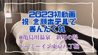 【女1人ビジホ泊】30代独身、念願のドーミーインでビジホ飲み [upl. by Anitnatsnoc]