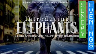 PHED Church Sunday PM Introducing Elephants pt2 [upl. by Nelluc534]