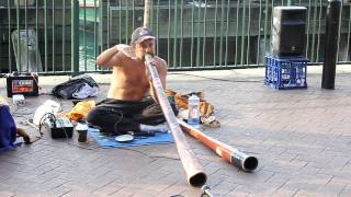 awesome didgeridoo playing australia [upl. by Adnotal]